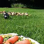 La Casa Di Linda 4* Мирано