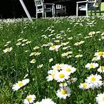 La Casa Di Linda 4* Мирано