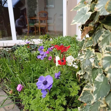 La Casa Di Linda Bed & Breakfast