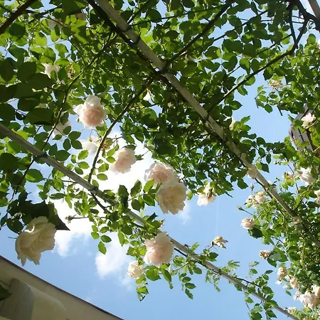 Frühstückspension La Casa Di Linda 4*