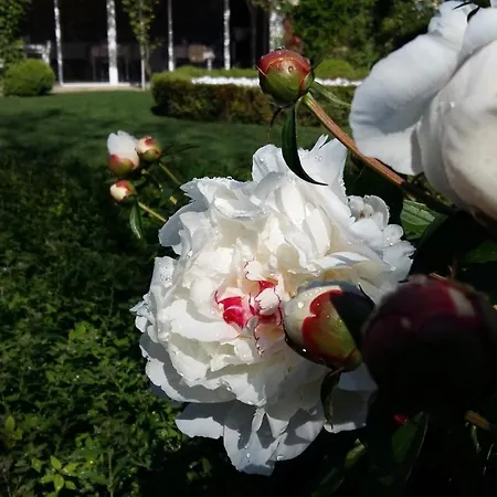 La Casa Di Linda Nocleg ze śniadaniem 3*