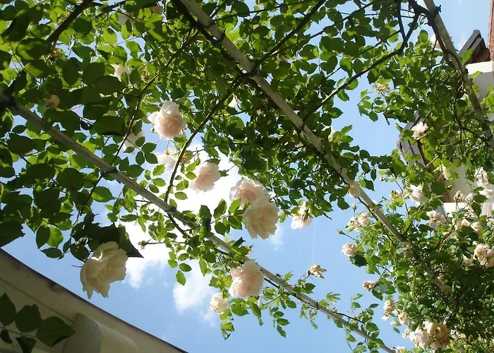 Bed & Breakfast La Casa Di Linda 4*