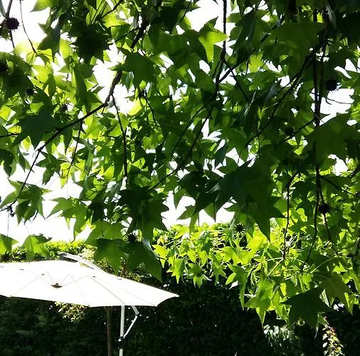 Bed & Breakfast La Casa Di Linda