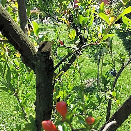 La Casa Di Linda 4*