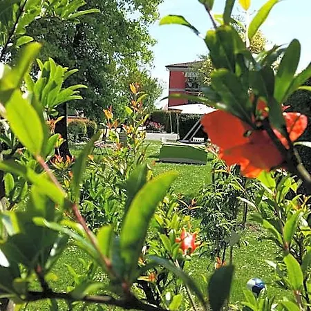La Casa Di Linda Mirano