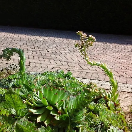 La Casa Di Linda Bed & Breakfast 3*